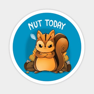 Nut Today Magnet